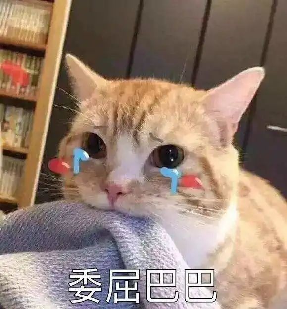 broken image
